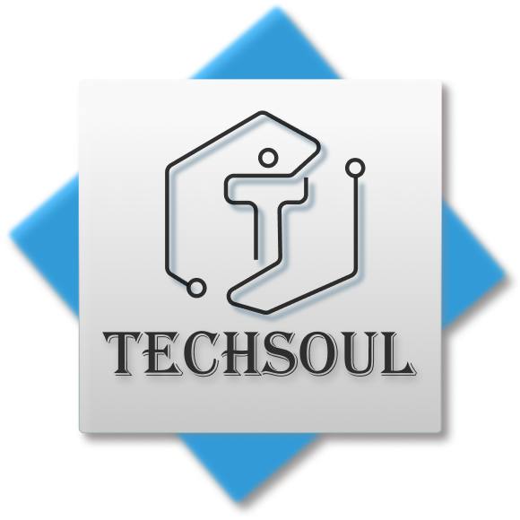 Techsoul IT Services